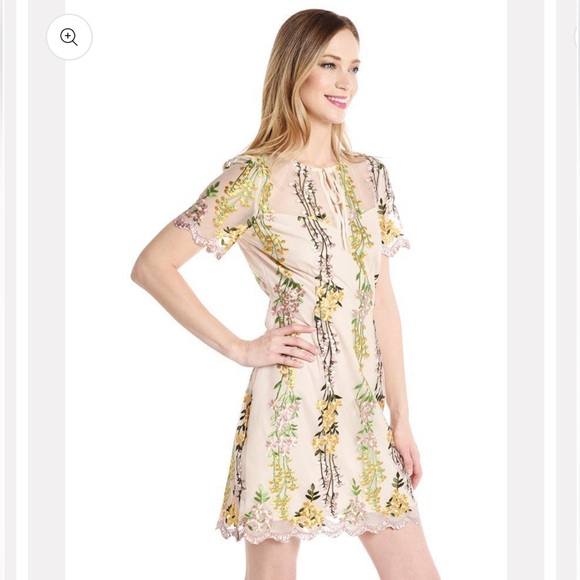 CUPCAKES AND CASHMERE EMBROIDERY MINI DRESS - Picture 3 of 6